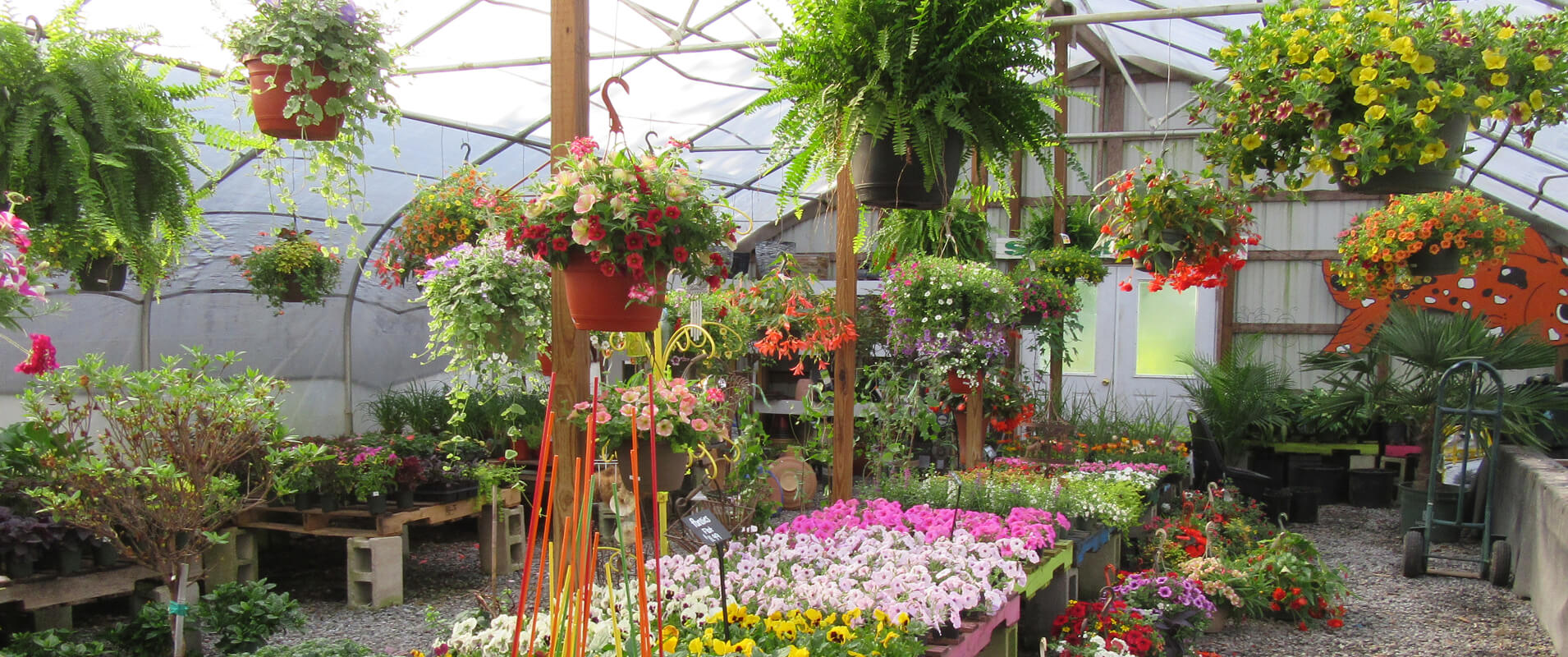 Visit our Greenhouse
